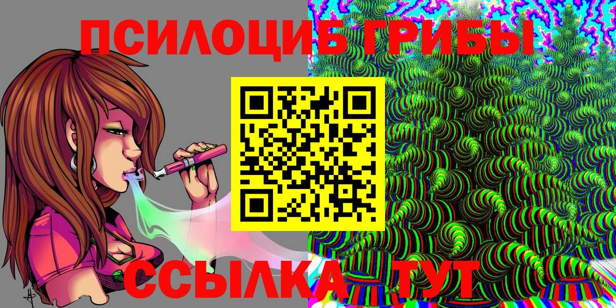 Галлюциногенные грибы Psilocybe Камышлов