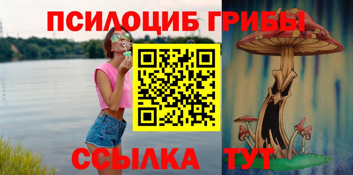 Камышлов  Псилоцибиновые грибы Cubensis  Псилоцибиновые грибы ЛСД  Вход с VPN 